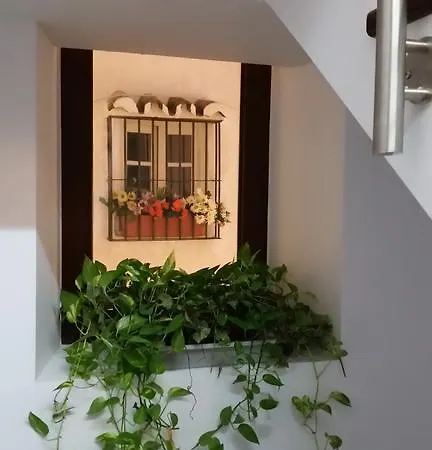 Apartment Total (adults Only) *